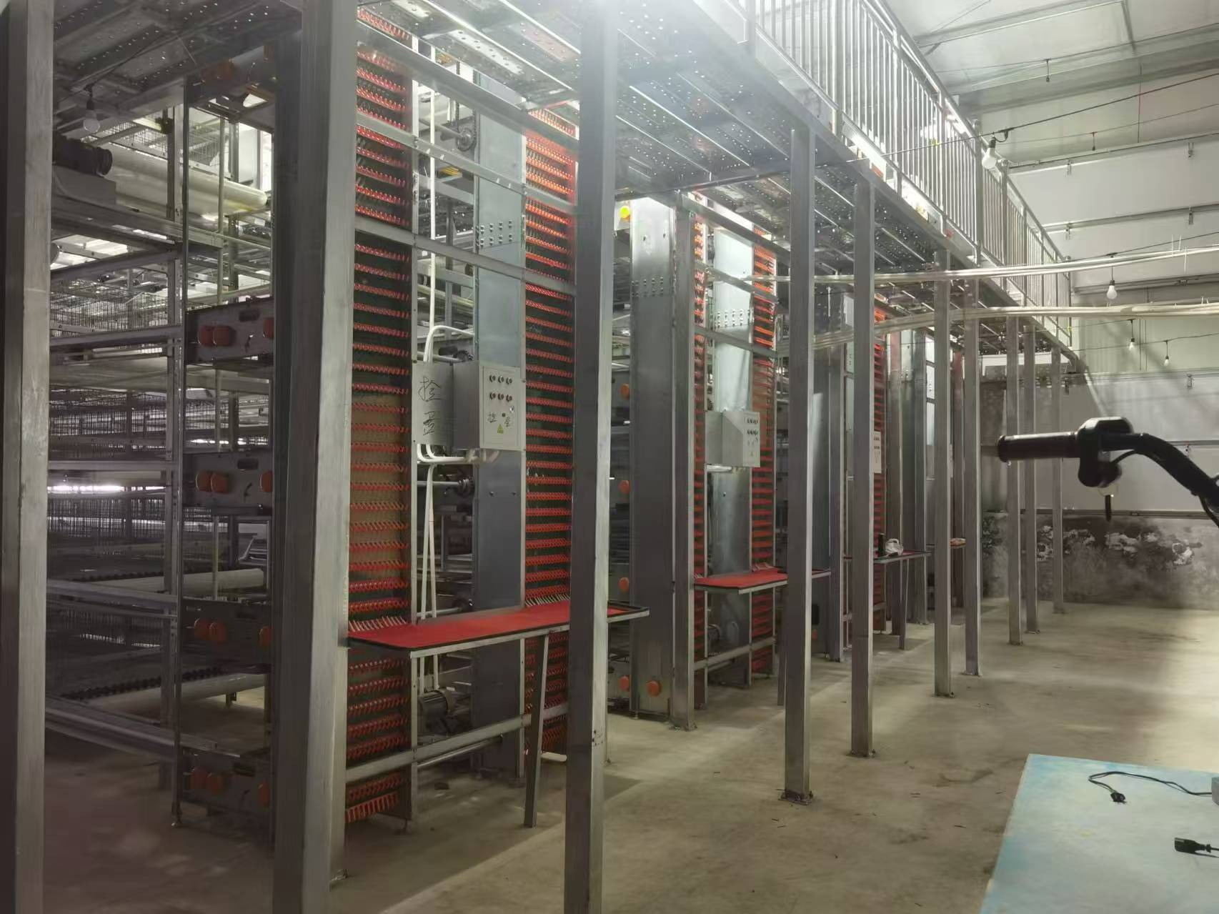 Modern Poultry Battery Cage Systems: Complete Guide for Chicken Farms