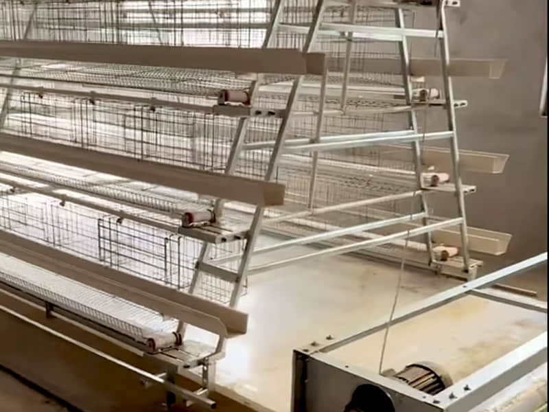 Automatic Feeding System