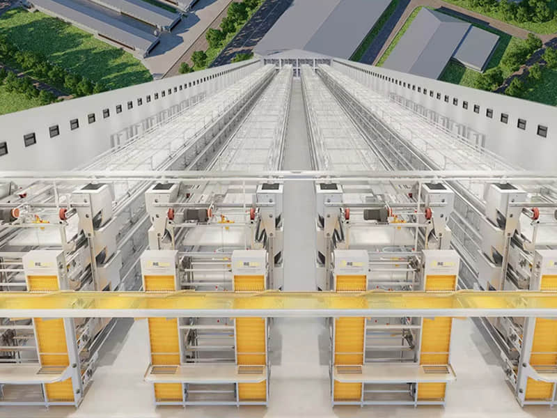 Automatic Layer Cage System