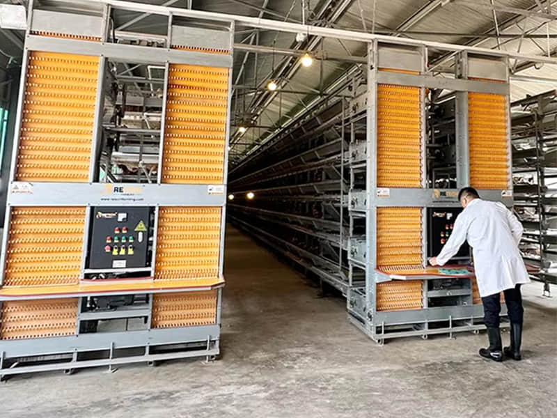 Automatic Layer Cage System Automatic Layer Cage System