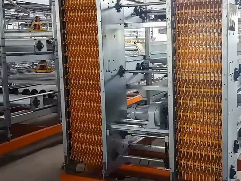 Automatic Egg Collection System Automatic Egg Collection System
