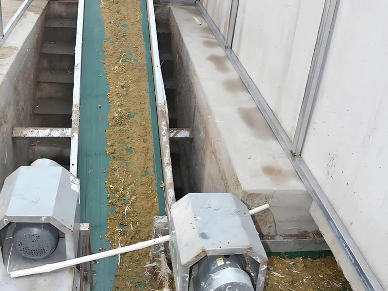 Belt Type Manure Removal System