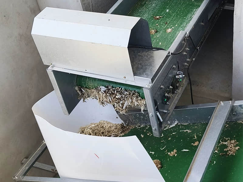 Belt Type Manure Removal System