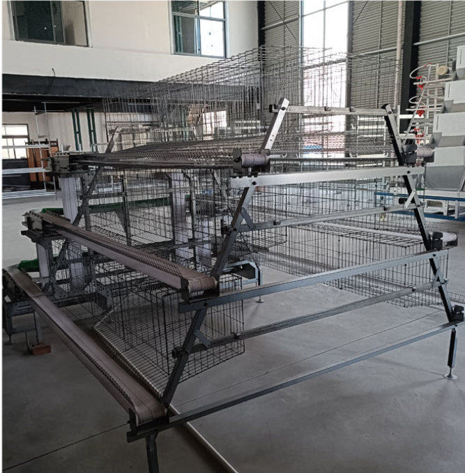 Type A Chicken Cage | High-Efficiency Tiered Laying Hen Farming Solution