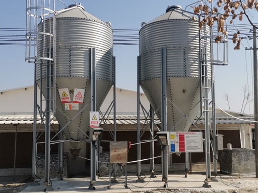 poultry feed silo complete conveying system, chicken farm automatic feed line overall view poultry feed silo complete conveying system, chicken farm automatic feed line overall view