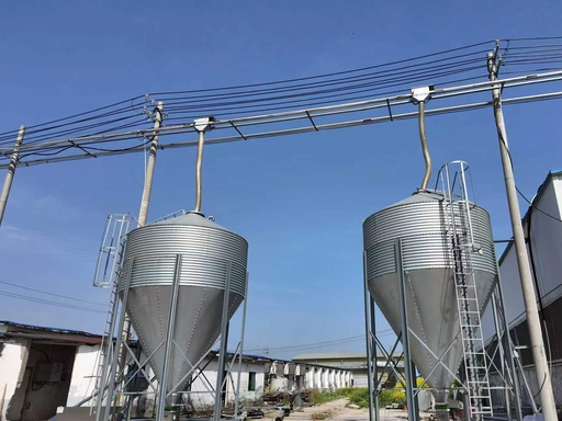 poultry feed silo complete conveying system, chicken farm automatic feed line overall view poultry feed silo complete conveying system, chicken farm automatic feed line overall view