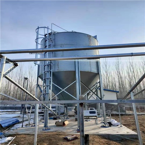 Automatic Feed Silo Conveying System