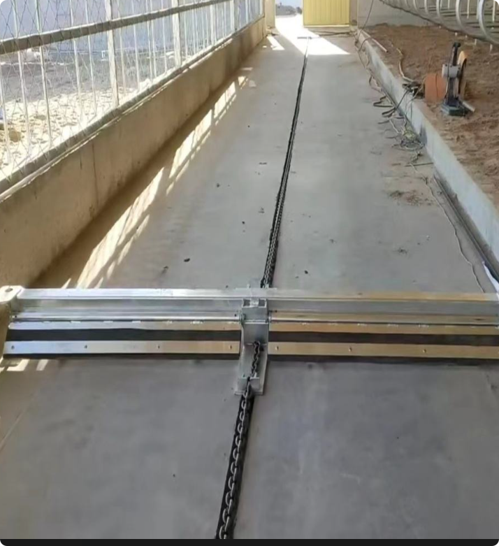 Automatic Scraper Manure Removal System for Poultry Chicken Farms