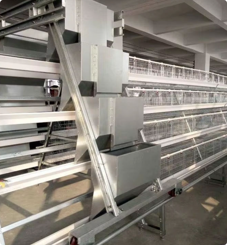 Gantry Type Feeding Cart | Frequency Conversion Sowing Feeder for Poultry