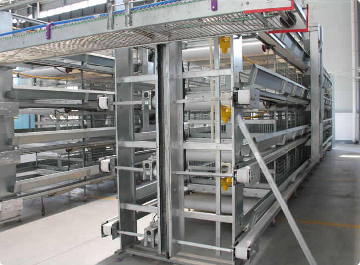 Gantry Type Feeding Cart | Frequency Conversion Sowing Feeder for Poultry