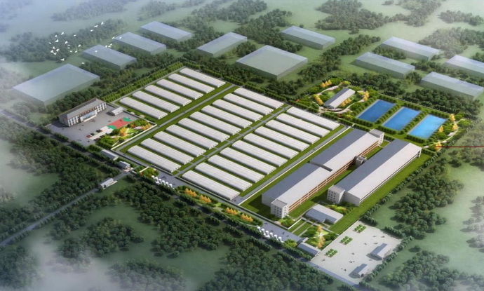Why automated poultry farming equipment is no longer optional—it's a competitive necessity.