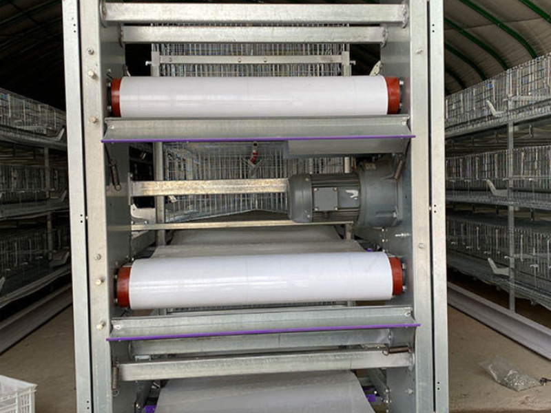 Automatic manure removal system