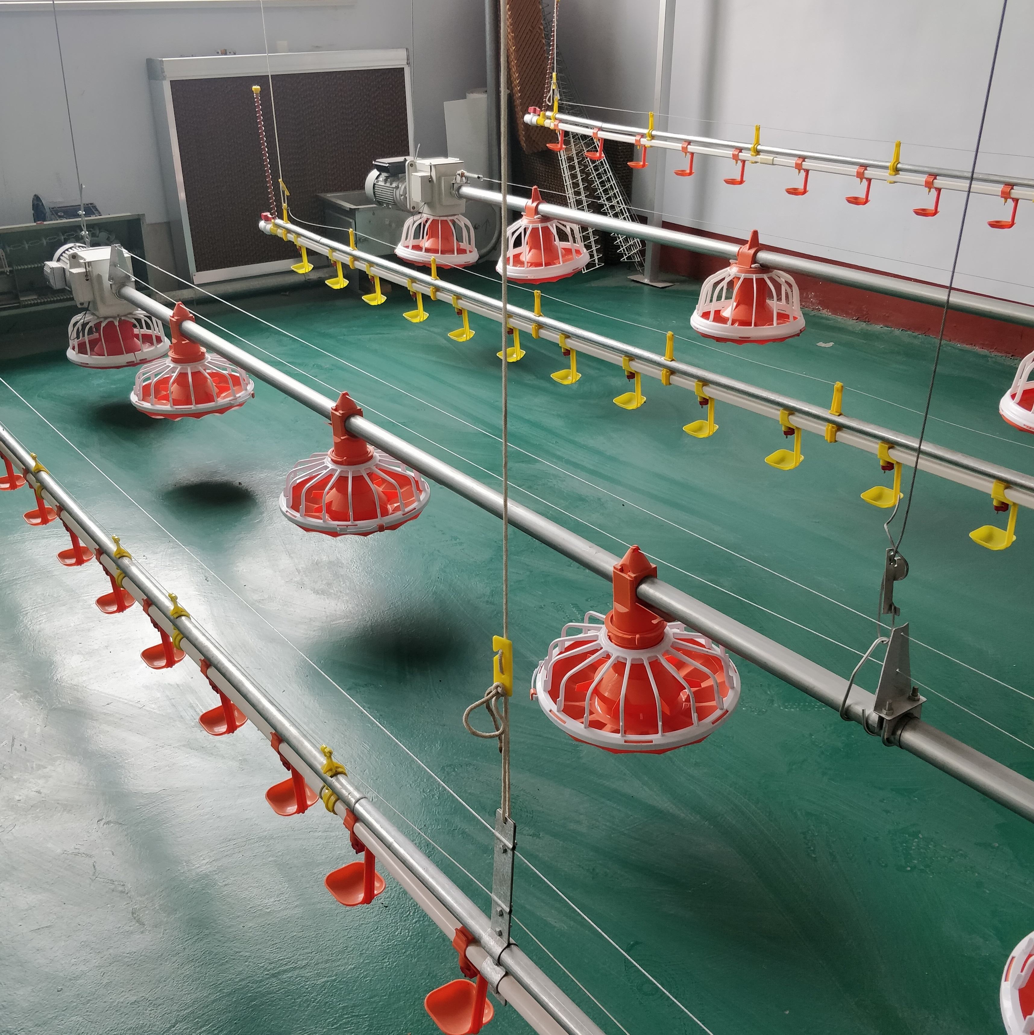 Automatic poultry equipment factory, chicken farming machine Automatic poultry equipment factory, chicken farming machine