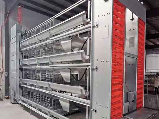 Automatic poultry equipment factory, chicken farming machine Automatic poultry equipment factory, chicken farming machine