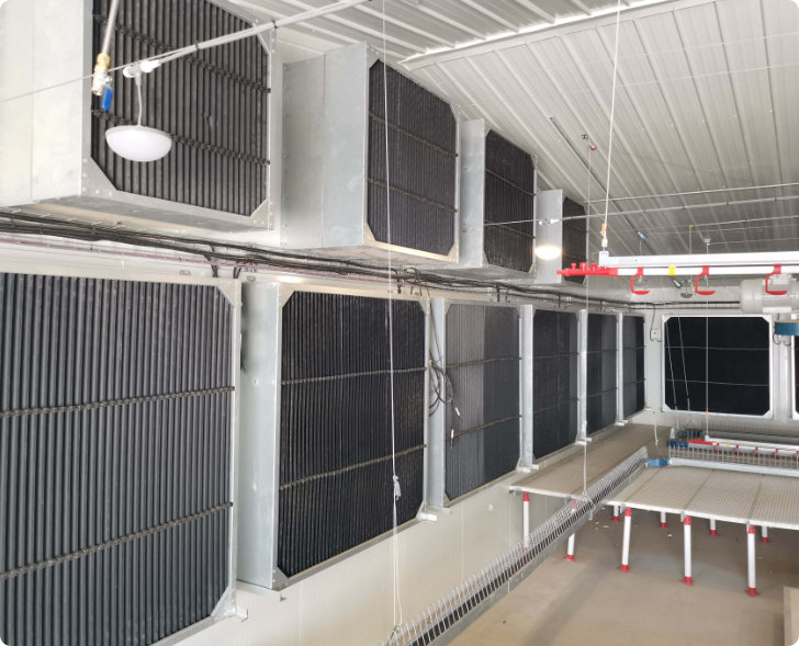 Evaporative Cooling Pad System for Poultry Farms | High-Efficiency Summer Cooling