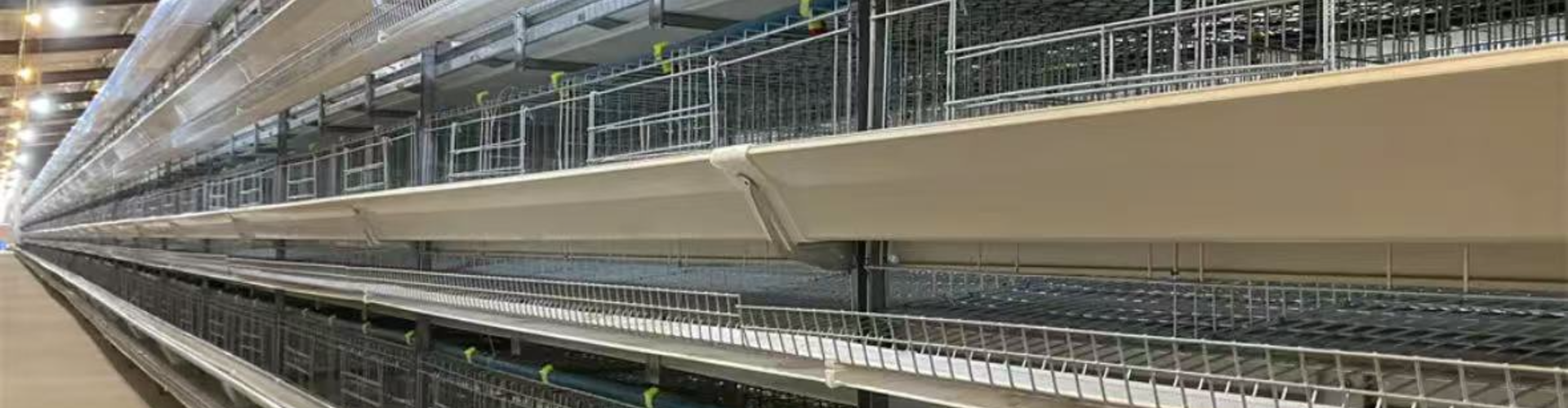 Automatic Poultry Farming Equipment Manufacturer | Chicken Cage System Supplier