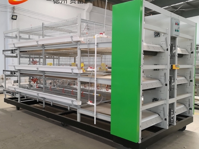H-Type Stacked Broiler Cage System: Maximize Farm Profit with Full Automatic Intensive Raising