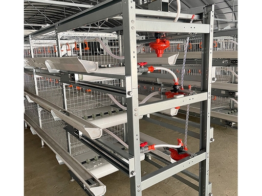 H-Type Stacked Broiler Cage System: Maximize Farm Profit with Full Automatic Intensive Raising