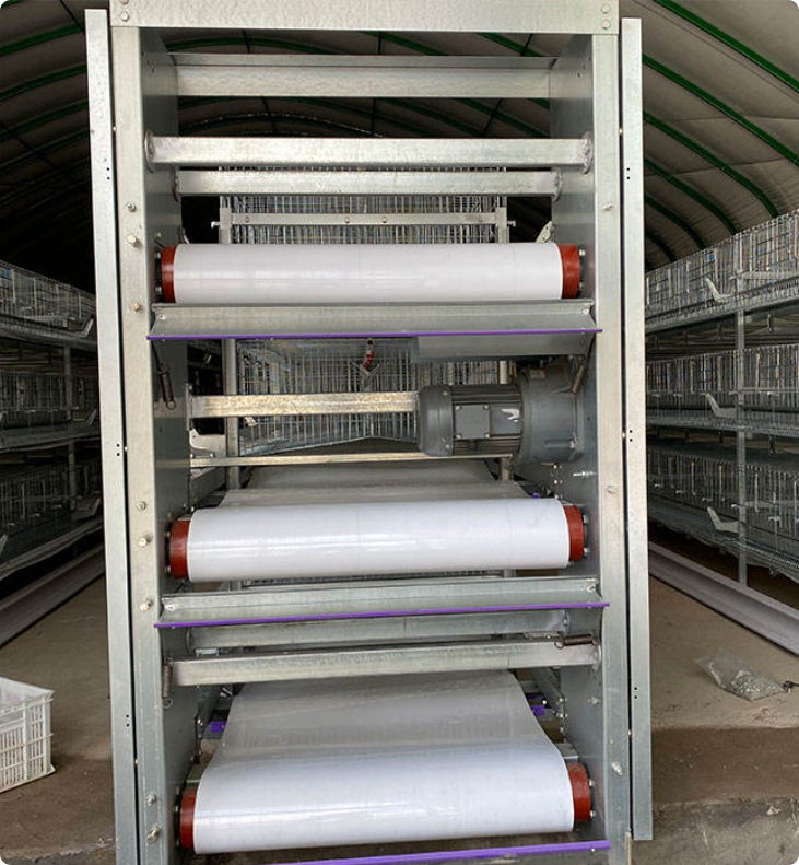 Automatic poultry farming equipment in a modern chicken farm with feeding system, drinking system, multi-tier cage system and smart control panel Automatic poultry farming equipment in a modern chicken farm with feeding system, drinking system, multi-tier cage system and smart control panel