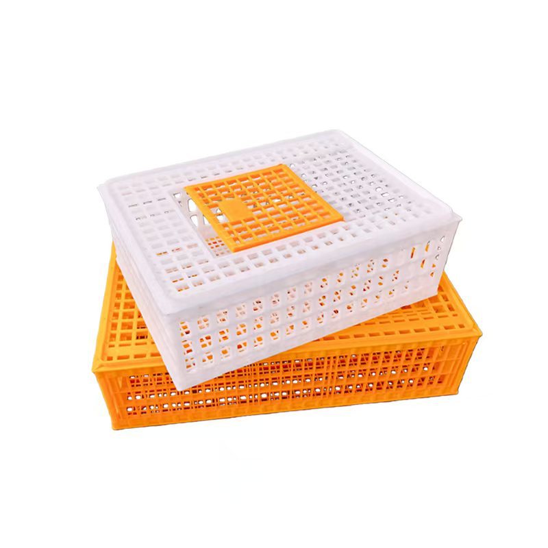 Chicken Frames Poultry Chicken Cage Poultry Plastic Chicken Creat Transport Box Farm Equipment Cage