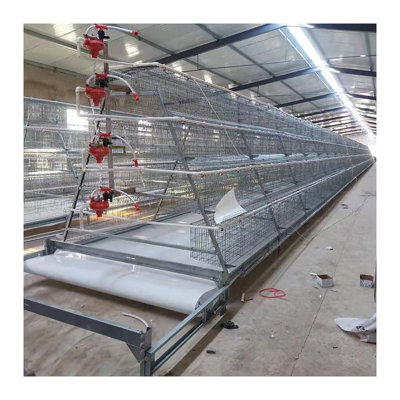  Entire Fully Autom A Type Layer Chicken Cages with Feeding Collecting Egg Manure Cleaning System