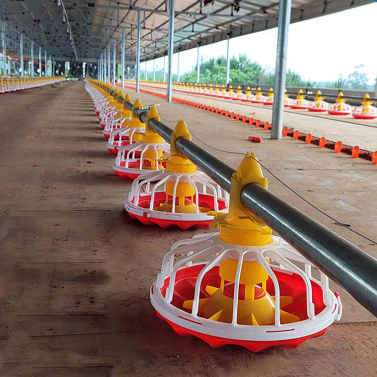Poultry Farm Feeding System Waterline with Galvanized Material New Easy Operation for Farm House Use