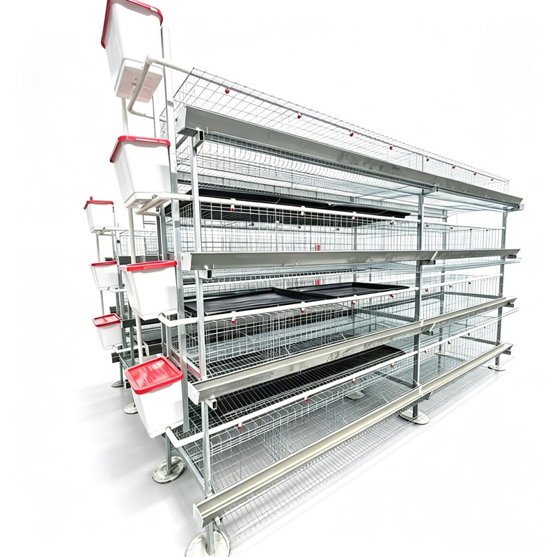 Modern Automatic Farming Equipment of H Type Poultry and Hop-Dip Galvanized Broiler Cage  